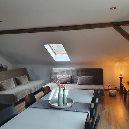 Dolni Rychnov Apartmany Silvestr מראה חיצוני תמונה