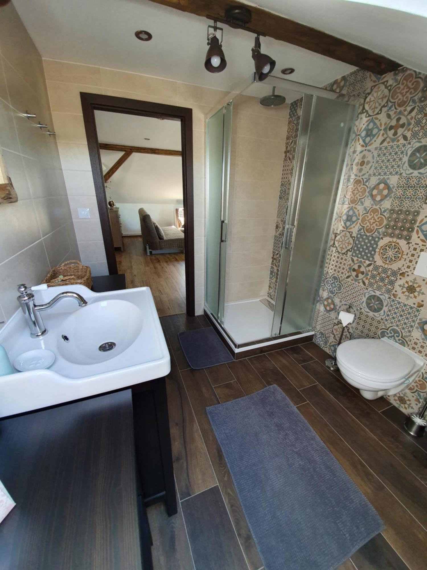 Dolni Rychnov Apartmany Silvestr מראה חיצוני תמונה