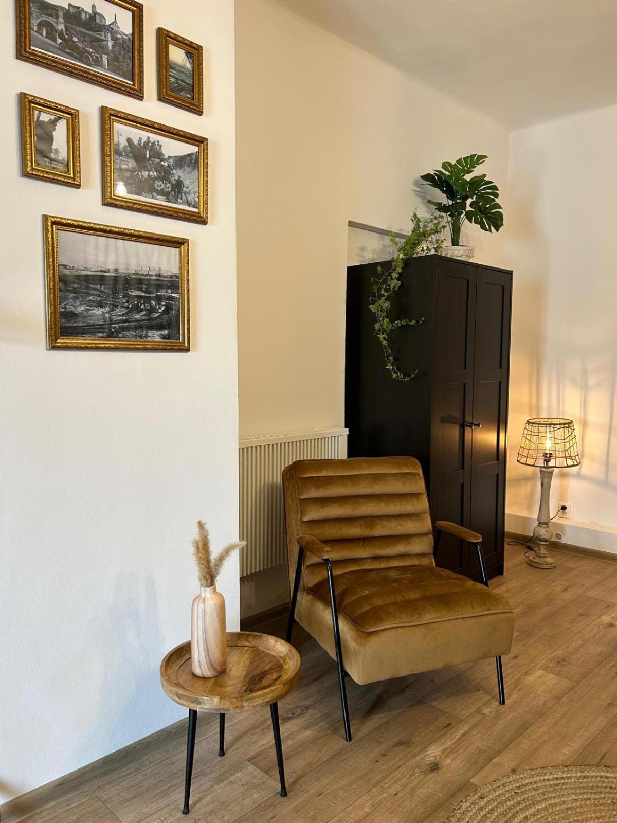 Dolni Rychnov Apartmany Silvestr מראה חיצוני תמונה
